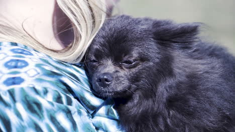 woman holding a small black dog