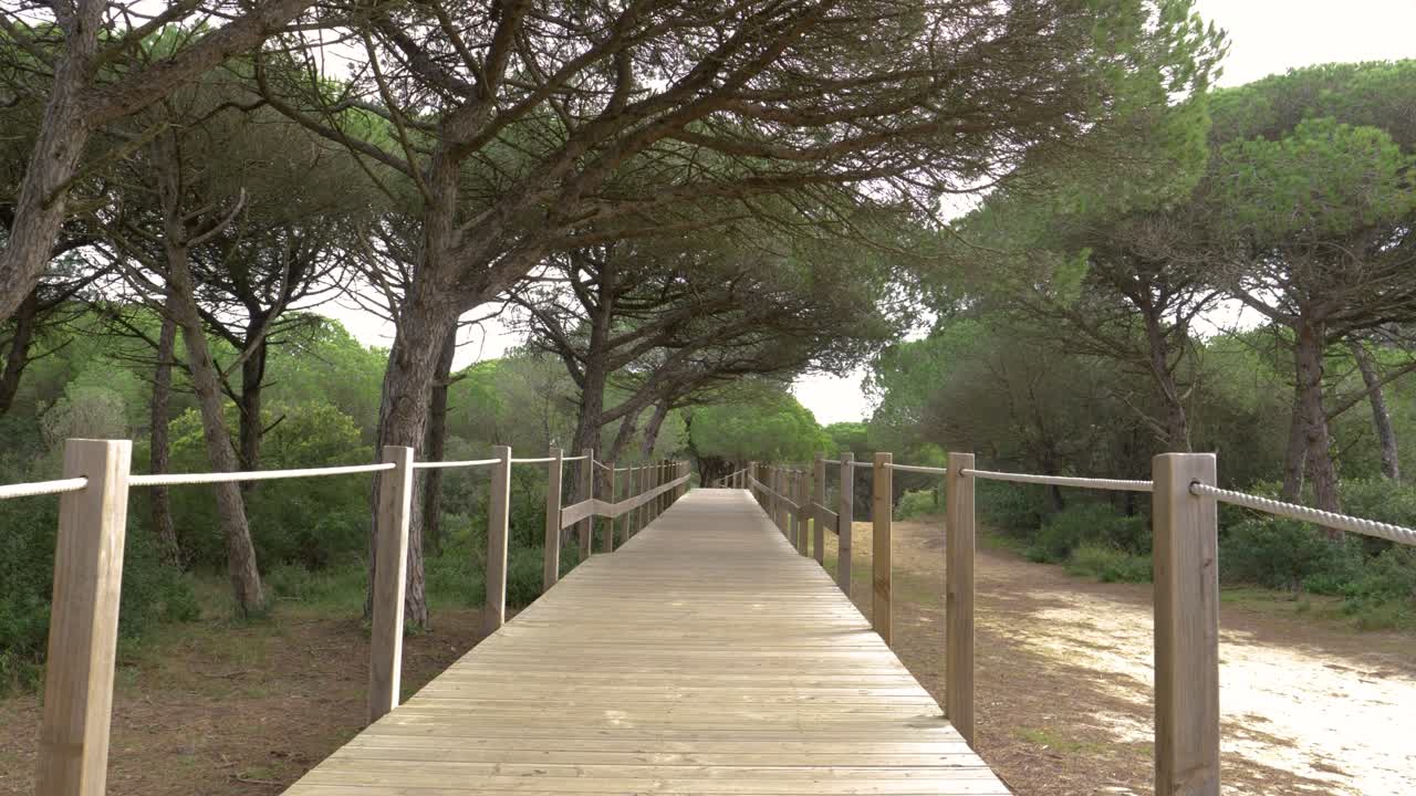 Protected National Forest Wooden Walkway, Caparica