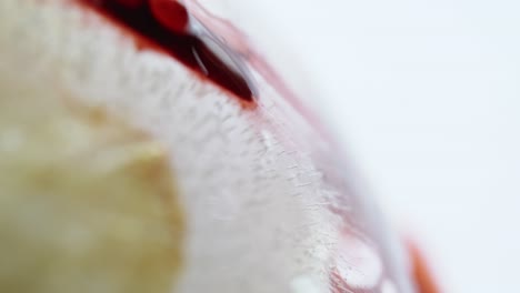 red liquid running down a frozen flower