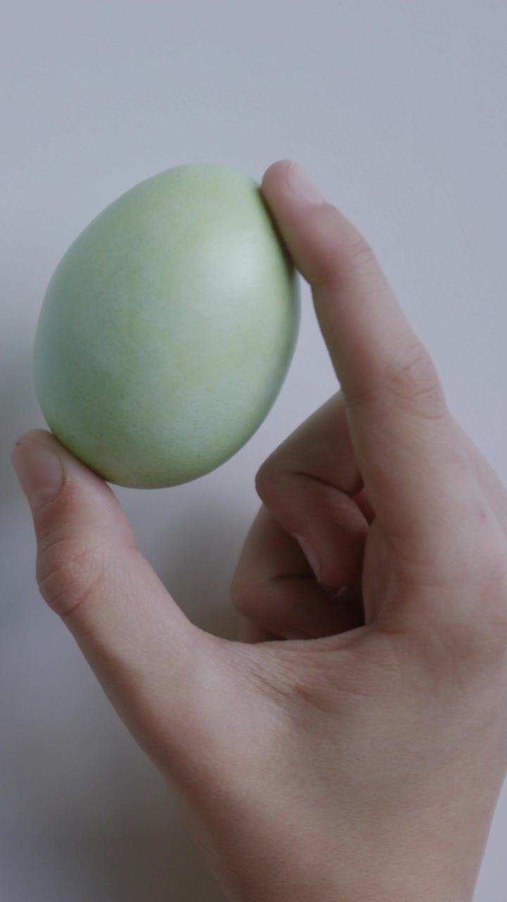 Hand Holding a Light Green Easter Egg