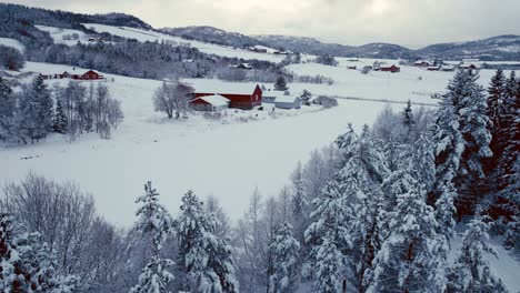 Cabañas-De-Madera-Y-Cabañas-En-El-Bosque-De-Invierno---Toma-Aérea