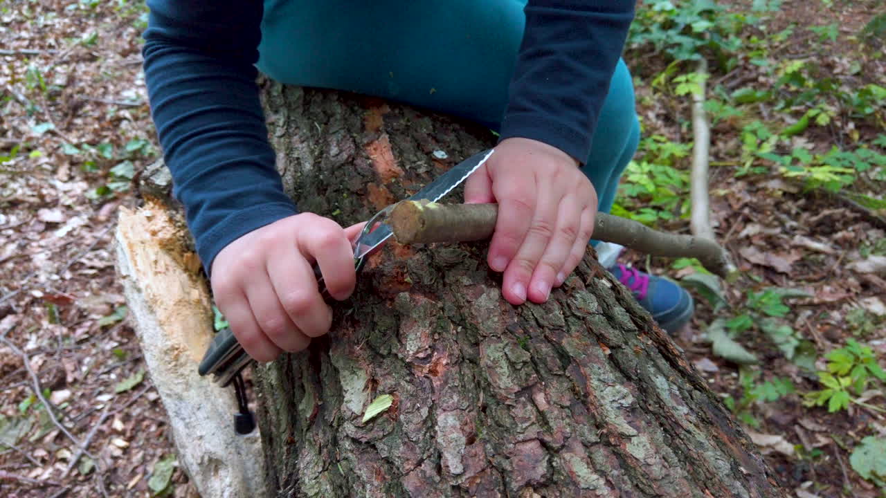 manos de una niña o niño usando un cuchillo suizo, aserrando un trozo de madera en el bosque, nadie