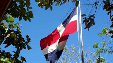 Flagge-Der-Dominikanischen-Republik-Mit-Blauem-Himmel-Und-Bäumen-An-Einem-Windigen-Tag