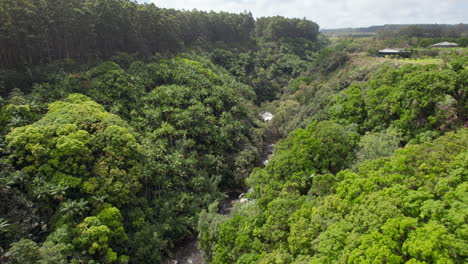 Vista-Aérea-Del-Paisaje-Tropical-Salvaje