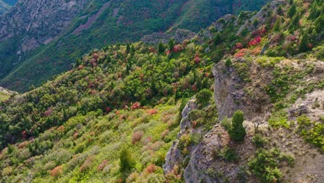 Antena-Sobre-Las-Montañas-Del-Cañón-De-Ogden-Utah-Con-Hermoso-Follaje-Y-Vista-De-Colores-De-Otoño