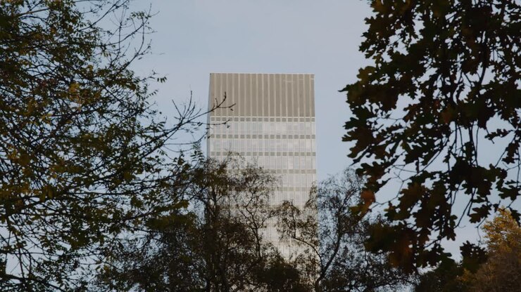 Inquadratura della Arts Tower da Western Park, zoomata attraverso le foglie, stagione autunnale, Campus dell'Università di Sheffield, Sheffield, South Yorkshire, Regno Unito