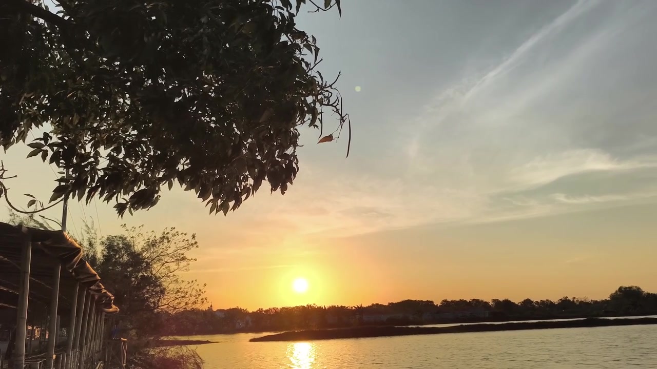 穏やかな川にかかる黄金の夕焼けとシルエットの木