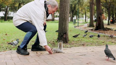 nature, squirrel and feeding with old man in park