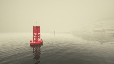 foggy winter coastal scene with red buoys