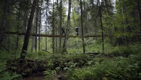 wooden footbridge through a lush forest