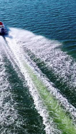 landscape of the river, speed boat on the river