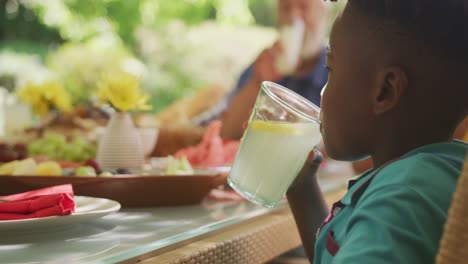 african american boy spending time in garden