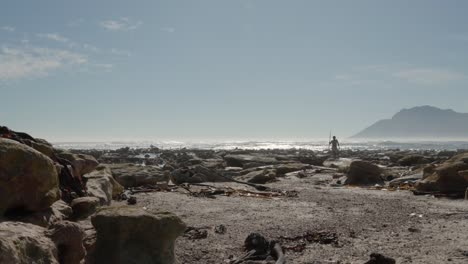 Primer-Pueblo-Indígena-Costero-Del-Sur-De-África,-Strandloper