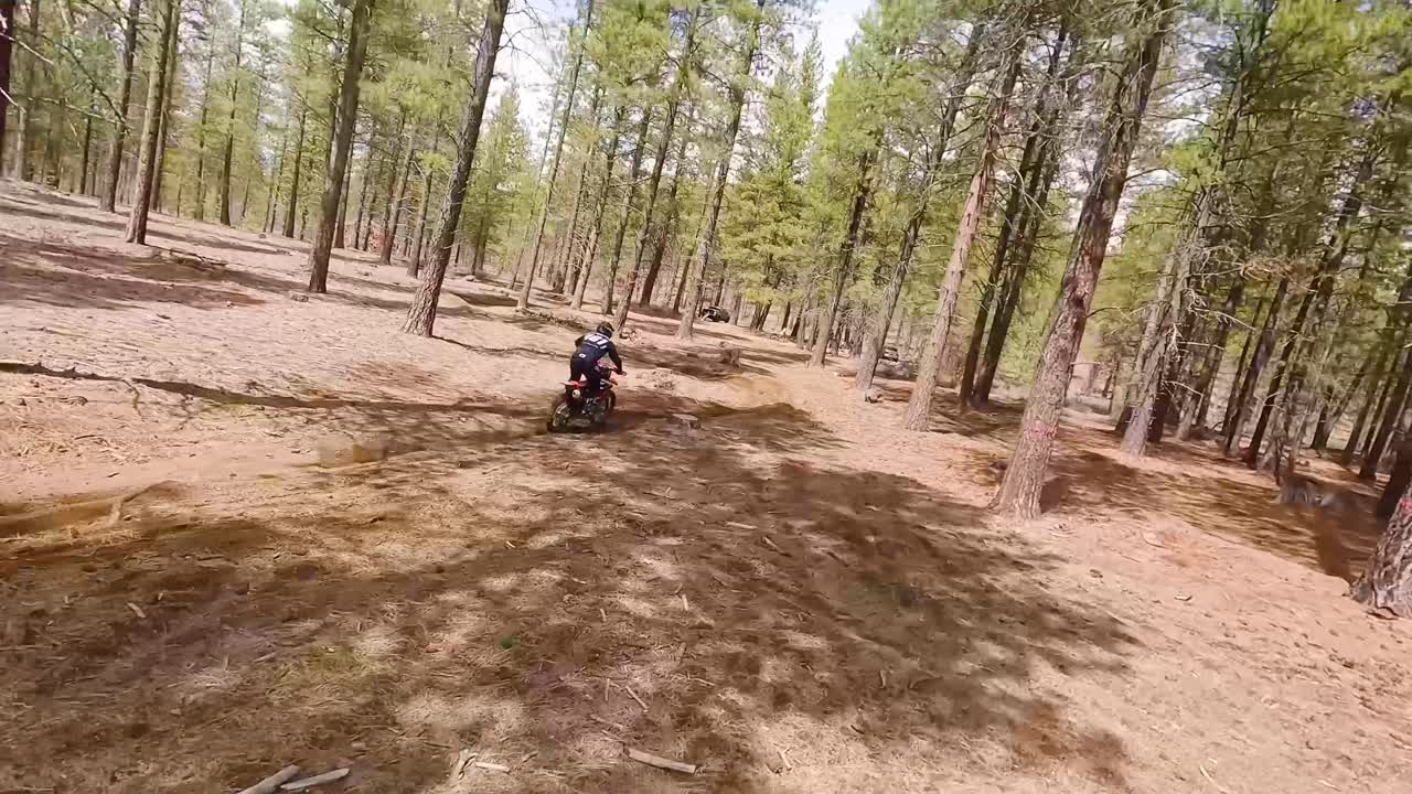 el dron sigue al piloto de motocross a través de los árboles en un curso de una sola pista, 60 fps