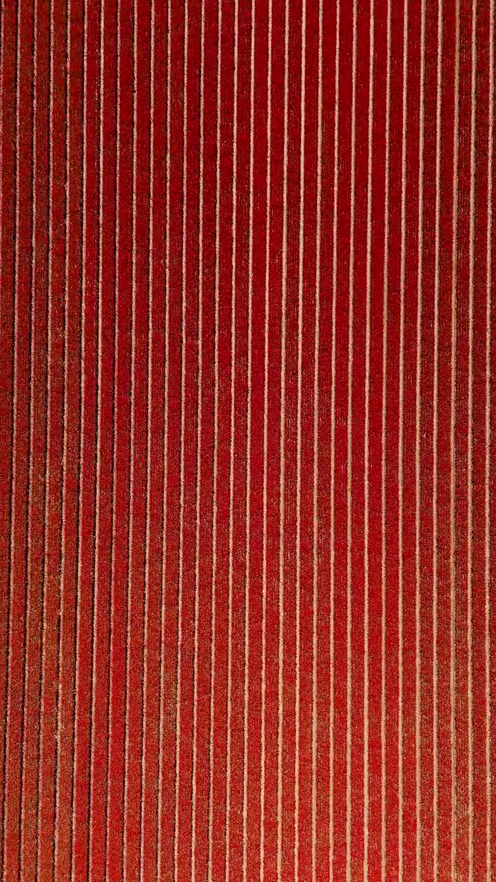 Aerial View of a Field with Rows of Plants