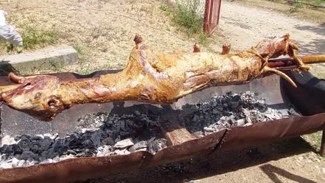 lamb on a pole turning above hot burning logs and charcoal