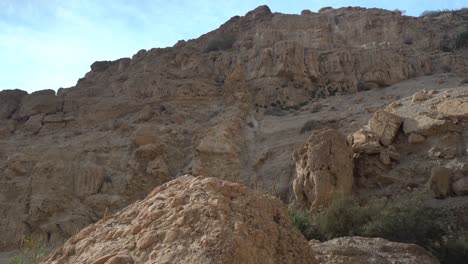 landscape view scenery ein gedi en gedi israel biblical site oasis spring