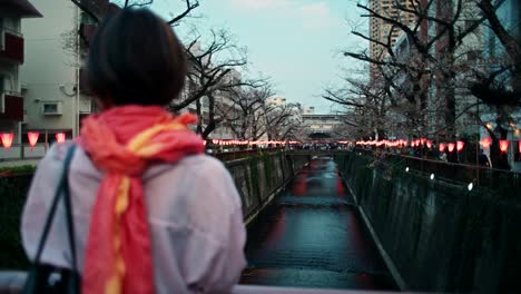 cherry blossom festival in japan