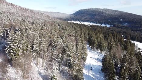 Vista-De-Pájaro-De-Un-Paisaje-Forestal-En-La-Nieve