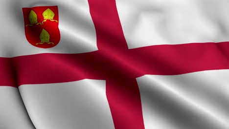 flag of the diocese of chester