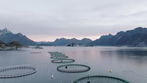 Piscifactoría-De-Salmón-Frente-A-La-Costa-De-Noruega,-Granja-De-Drones-Aéreos