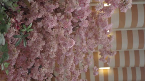 pink cherry blossoms hanging from ceiling