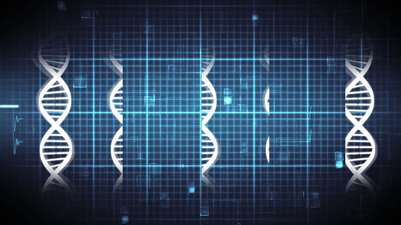 DNA double helix and heart rate