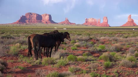 Los-Caballos-Pastan-Con-La-Belleza-Natural-Del-Valle-Del-Monumento-Utah-En-El-Fondo-10