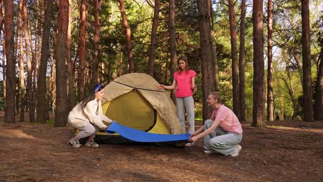 friends camping in forest