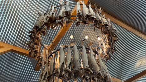 panning up shot of dried fishing hanging in racks inside of a modern looking room with shiny steel corrugated metal and natural wood beams