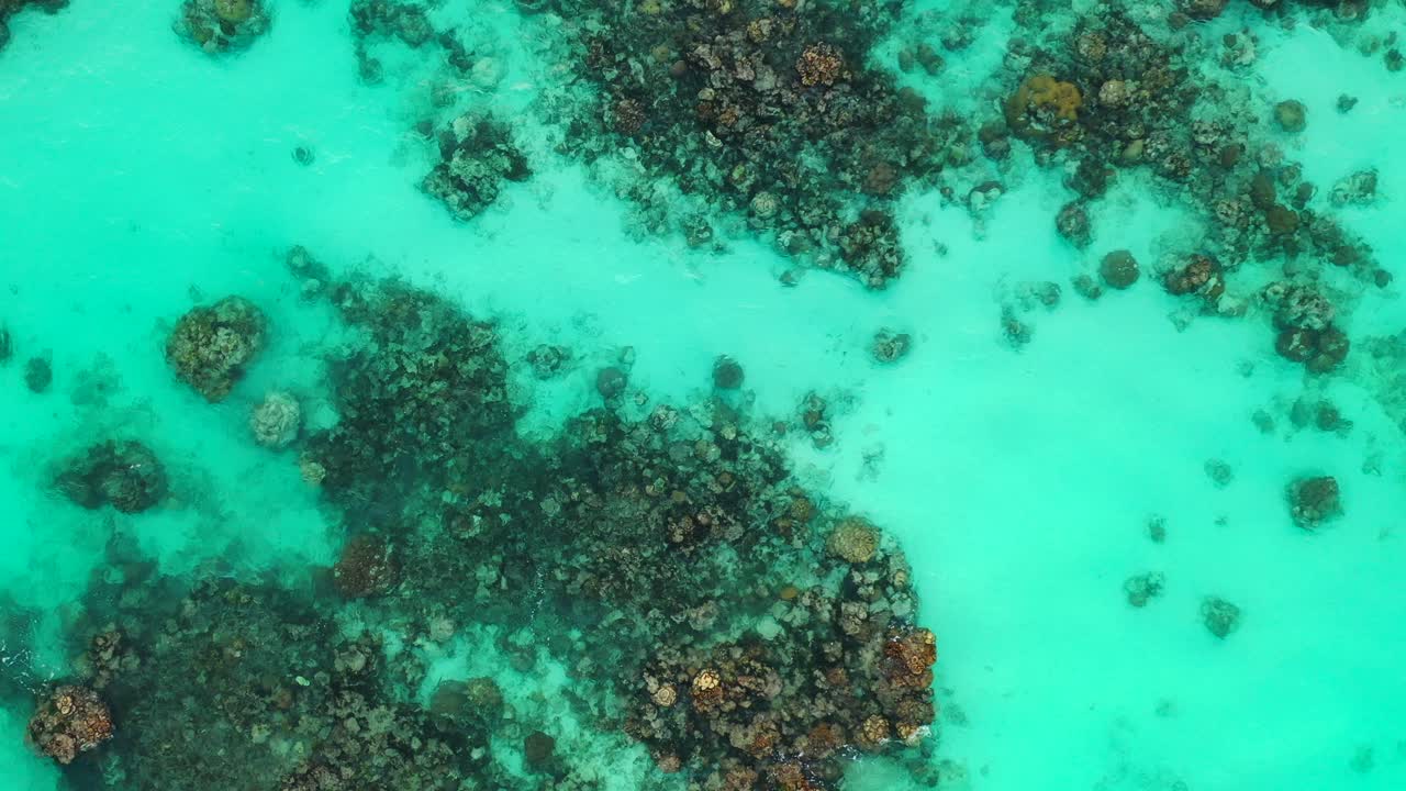 Seawater texture. Crystal clear water, sandy seafloor with corals and stones, Aerial descending