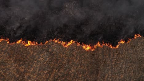 aerial view of spring dry grass burning field. fire and smoke in the meadow, nature pollution, common waste are burned in romania