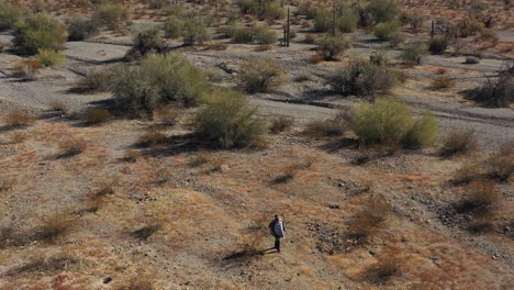 Un-Forajido-Solitario-Deambula-Por-Un-Vasto-Desierto-En-Un-Día-Soleado