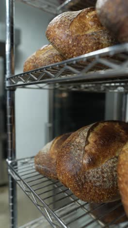 freshly baked bread on metal shelves