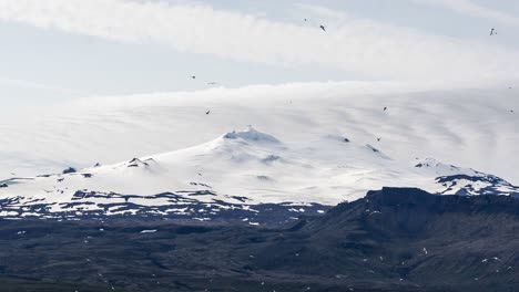 Zeitraffer-Fliegender-Vögel-Und-Wolken,-Die-Sich-über-Dem-Weißen-Gletscher-Snæfellsjökull-Bilden