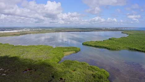 Laguna-Protegida-Creando-Un-Refugio-De-Vida-Silvestre,-Laguna-Bavaro