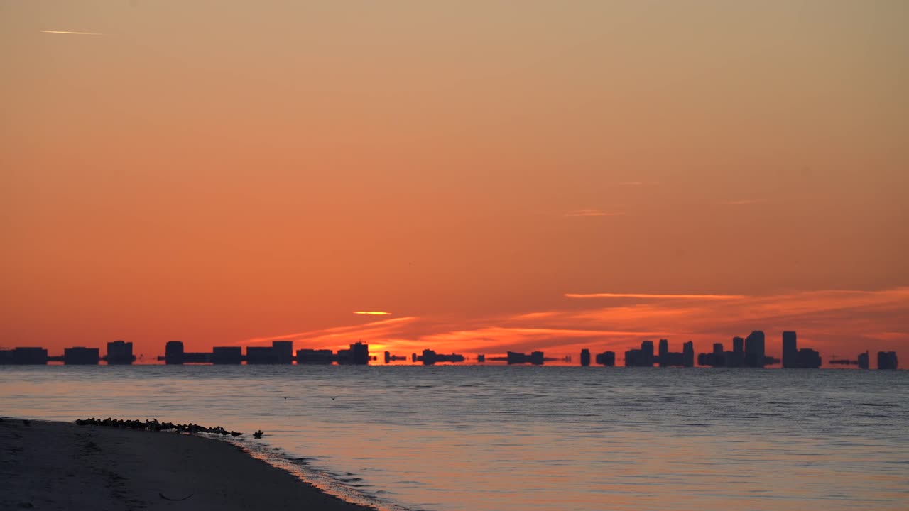Sun rises in Tampa Bay Florida with birds landing on the beach #2