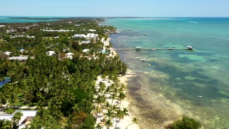 aerial establishing of tropical coastline with trees and turquoise shallow water in islamorada, florida