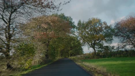 Vorbei-An-Bäumen,-Die-Sich-Vom-Wind-In-Der-Herbstlichen-Landschaft-Schwedens-Bewegen,-Österlen---Handgehaltener-Weitschuss,-Der-Nach-Vorne-Verfolgt