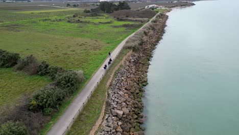 Familia-Y-Amigos-En-Bicicleta-En-La-Isla-Île-De-Ré-En-El-Oeste-De-Francia-Tomando-La-Vista-Al-Océano,-órbita-Aérea-Alrededor-Del-Tiro