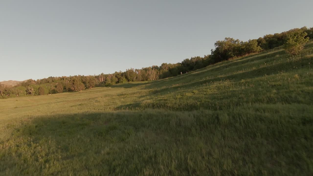 Fast FPV aerial shot skimming across a trail through a grassy field on a hillside in the mountains of Utah near Provo on a warm sunny day