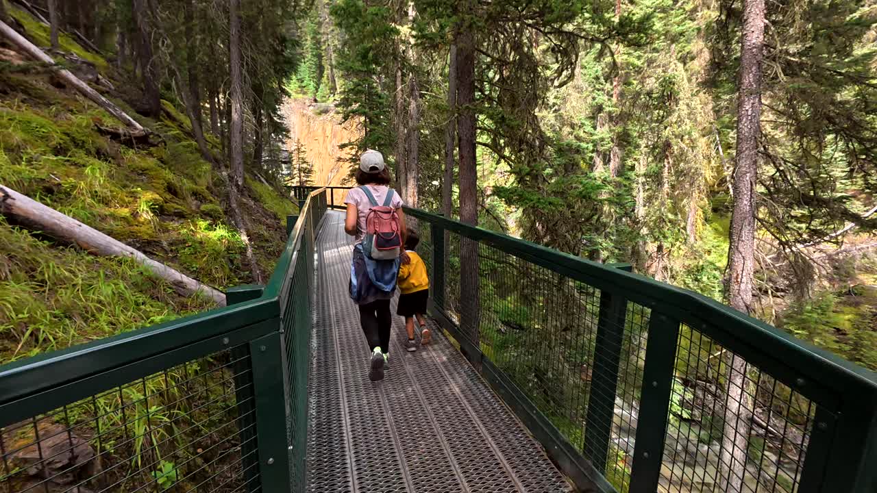 People walking on a bridge in a forest