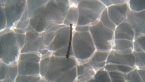 close-up seabed fine white sands with sunlight reflections water ripples creating ondulating abstract shapes