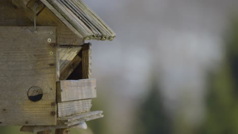 Nahaufnahme-Eines-Vogelhauses-Mit-Bunten-Vögeln,-Die-Ein--Und-Ausfliegen-Und-Im-Winter-In-Der-Natur-Nahrung-Suchen-Und-Essen,-Aufgenommen-In-4k-In-Zeitlupe-Mit-120-Fps