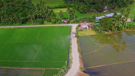 Conducción-De-Camiones-En-Camino-De-Tierra-Entre-Arrozales-En-El-Sur-De-Leyte,-Filipinas