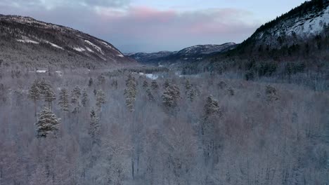 experience captivating drone footage showcasing snowy forrest and majestic peaks from northern norway’s magical landscapes inside the pristine arctic circle.