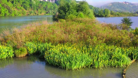 tiber farfa nature reserve, nazzano, lazio, italy.