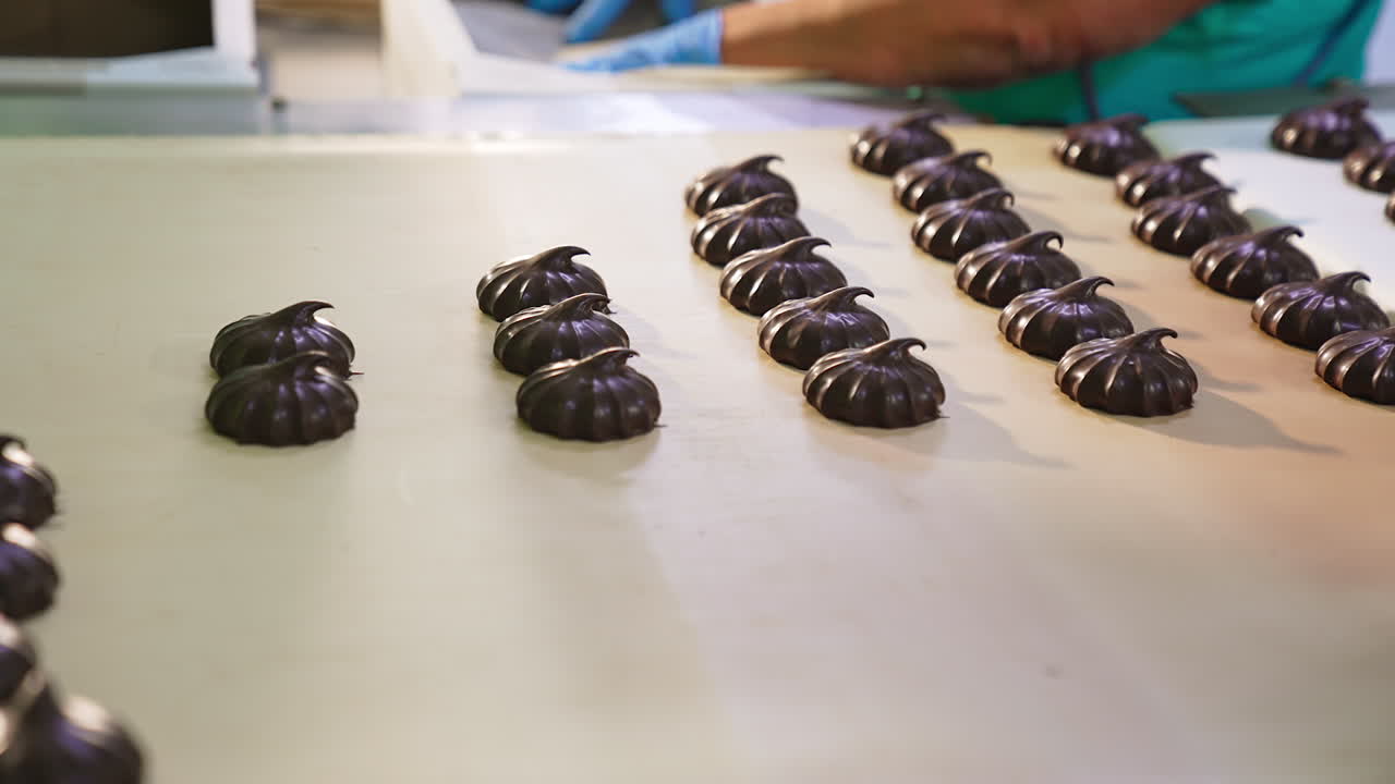 Packaging chocolate marshmallows into boxes at the factory. Coated zephyr candies are taken away from the conveyor belt.