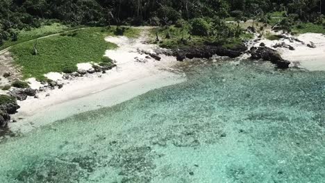 flying towards clear blue ocean water and dense forest of palm trees