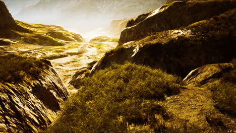 mountain landscape with dry yellow grass in the himalaya mountains